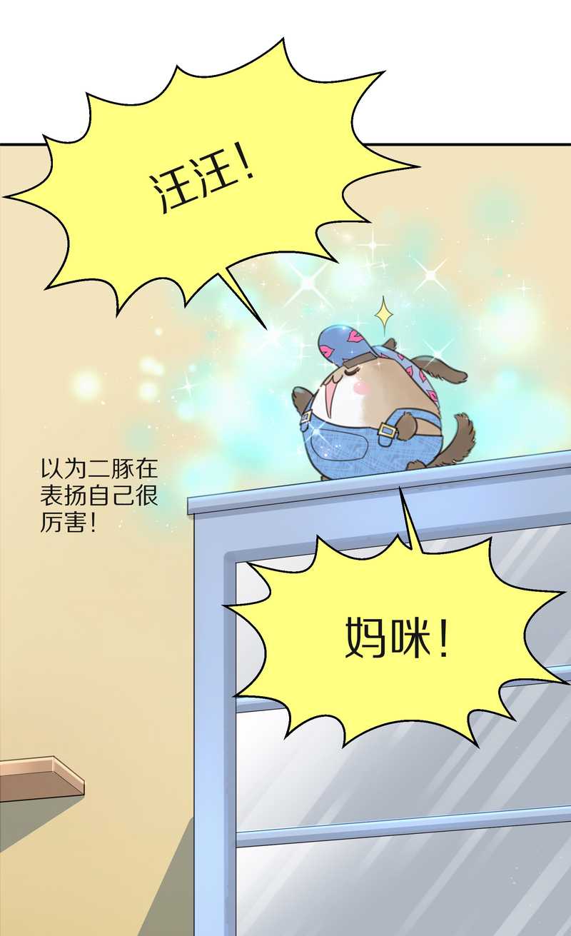 毛球星传说 第15集(1/2)-第15话