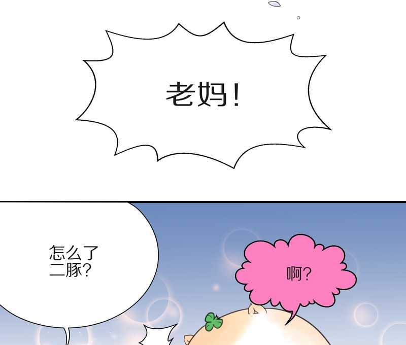 毛球星传说 第17集(1/3)-第17话