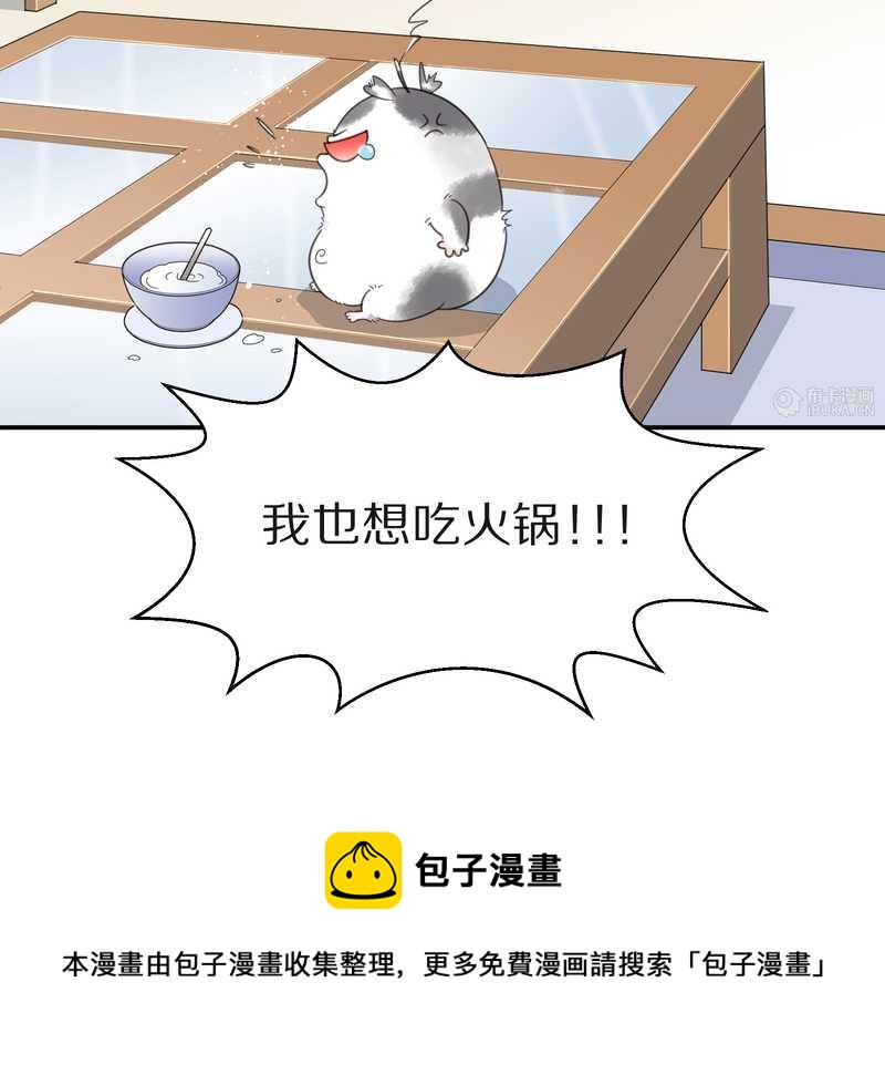毛球星传说 第17集(1/3)-第17话