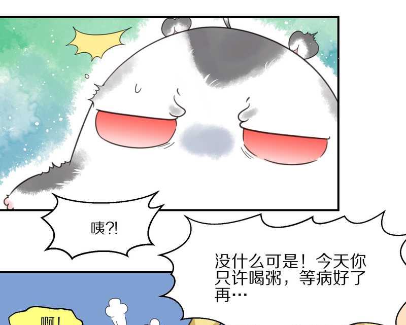 毛球星传说 第17集(1/3)-第17话