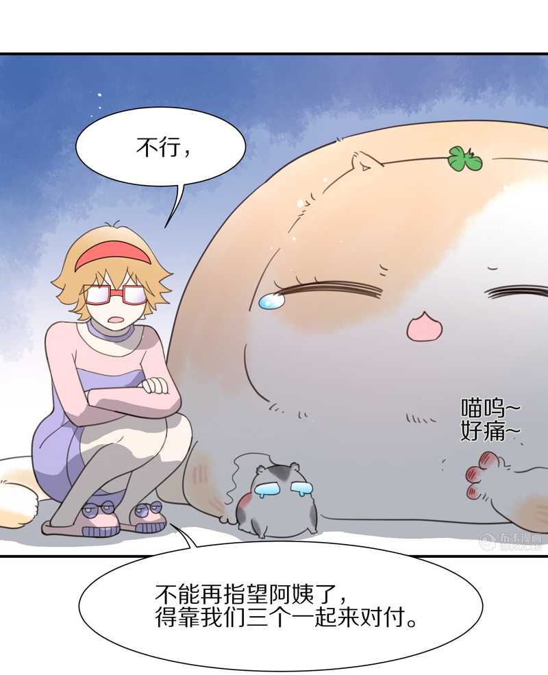 毛球星传说 第17集(1/3)-第17话