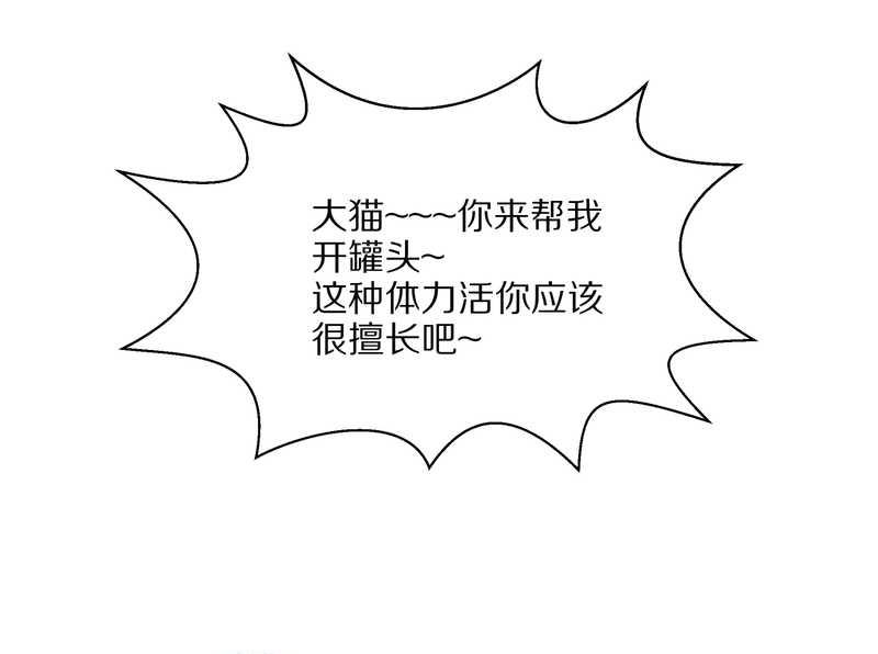 毛球星传说 第17集(1/3)-第17话