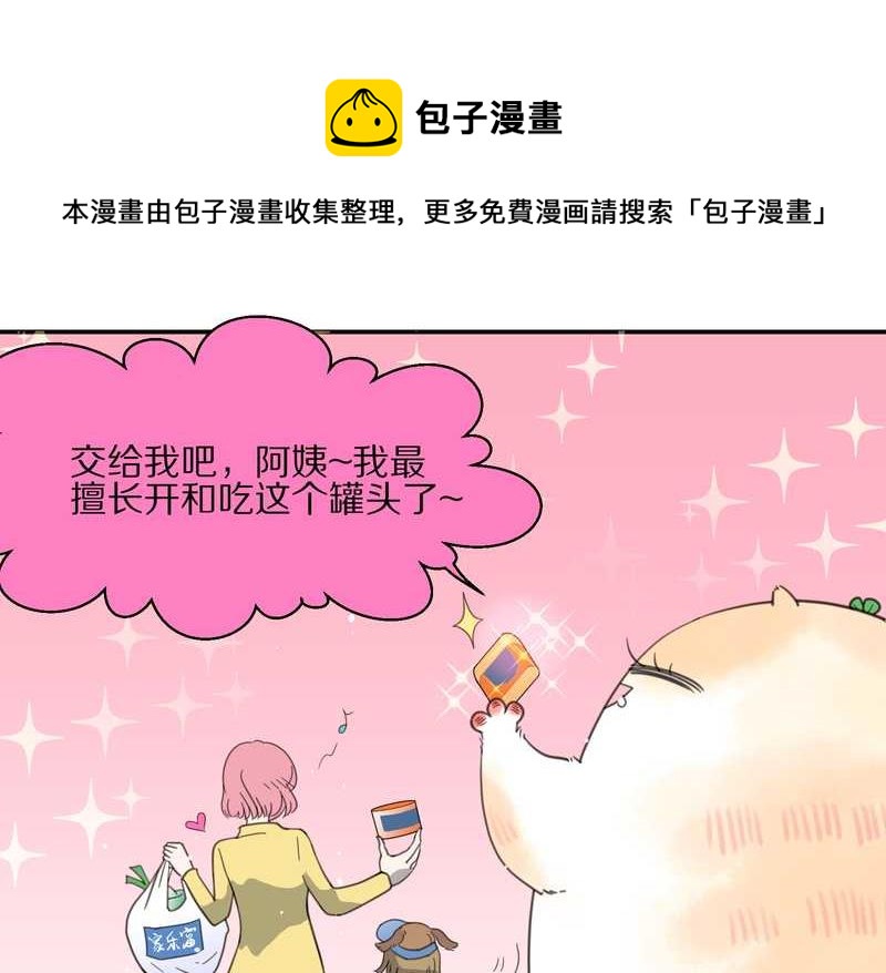 毛球星传说 第17集(1/3)-第17话