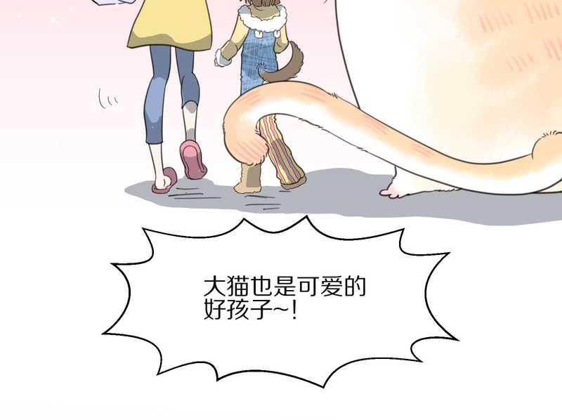 毛球星传说 第17集(1/3)-第17话