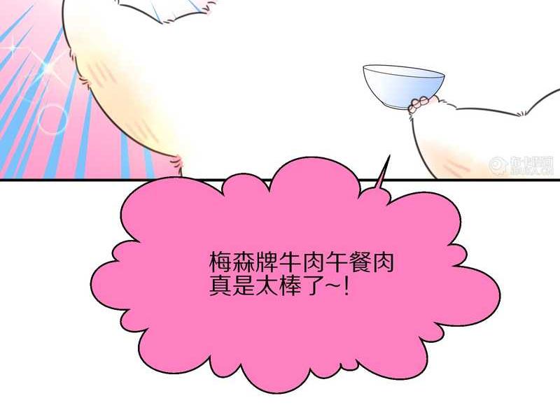 毛球星传说 第17集(1/3)-第17话
