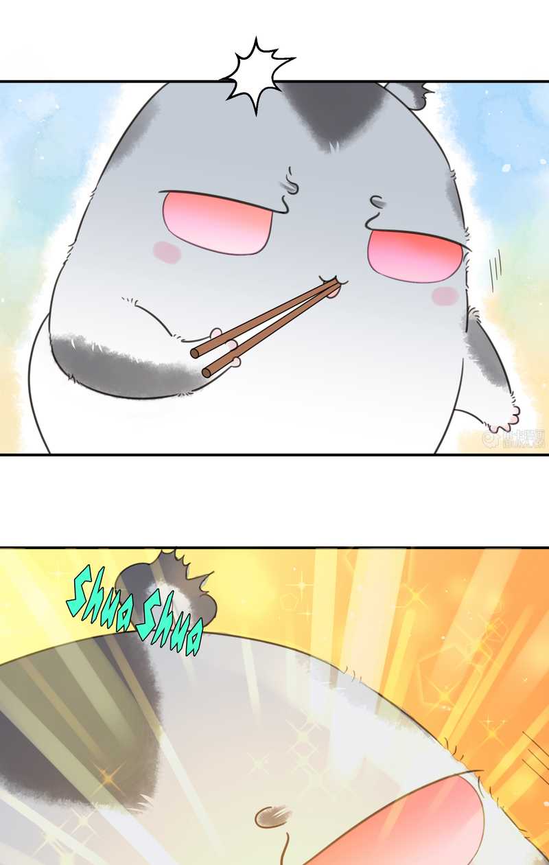 毛球星传说 第19集(1/2)-第19话
