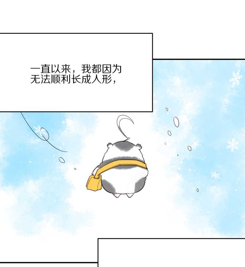 毛球星传说 第19集(1/2)-第19话