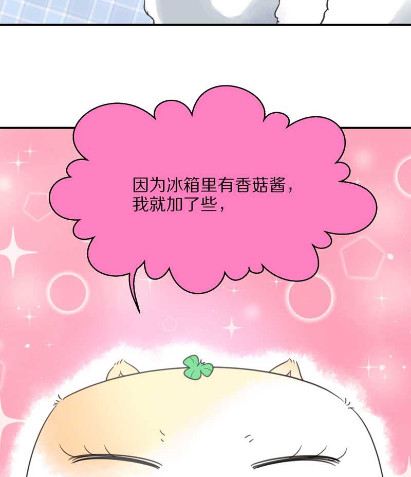 毛球星传说 第19集(1/2)-第19话