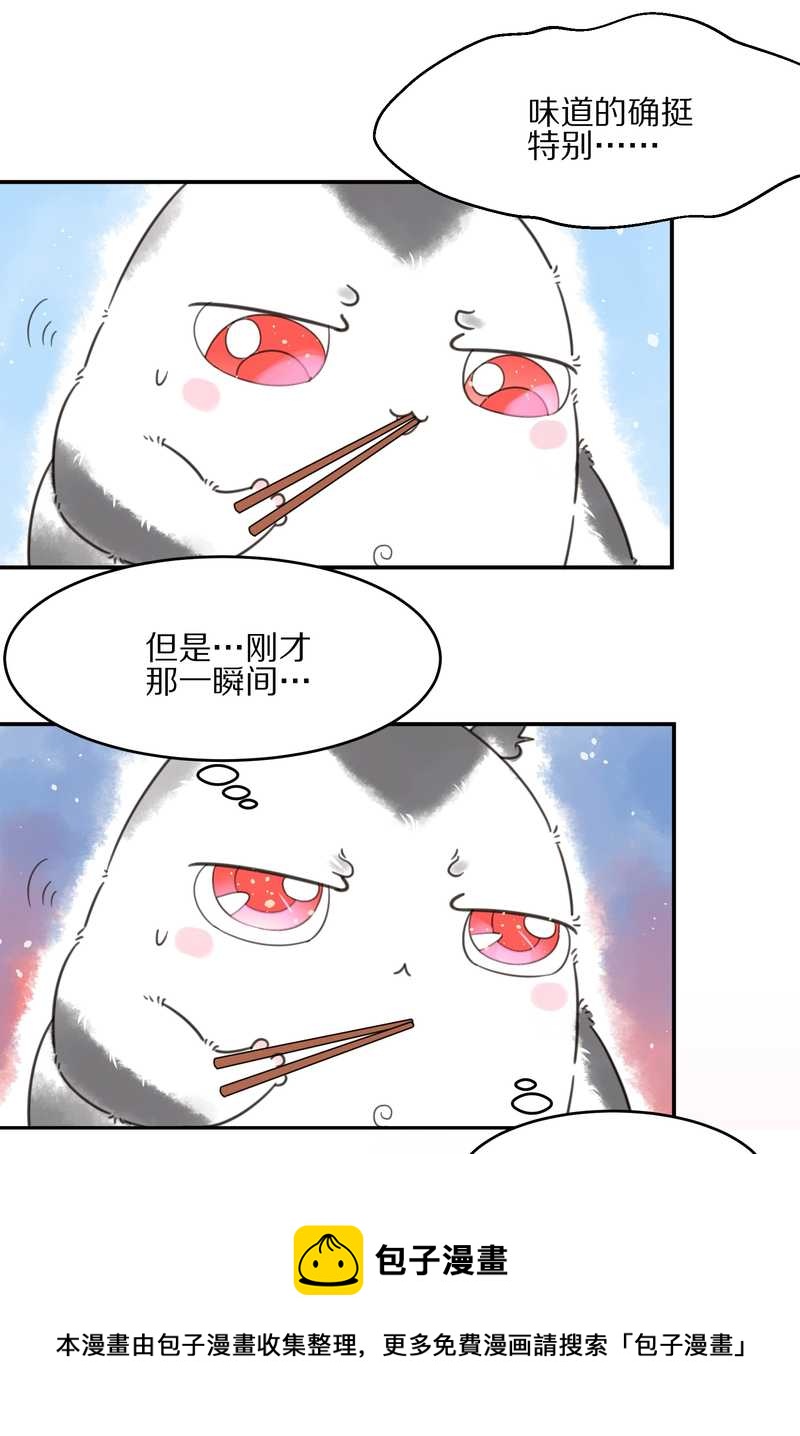 毛球星传说 第19集(1/2)-第19话