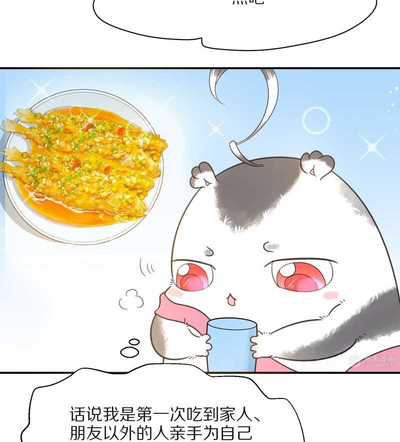 毛球星传说 第19集(1/2)-第19话