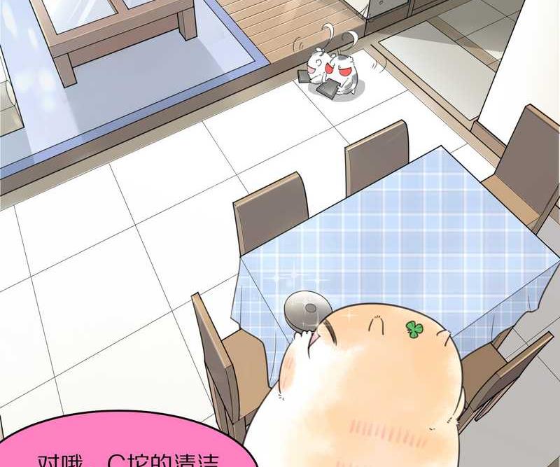 毛球星传说 第19集(1/2)-第19话
