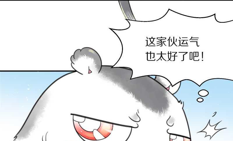 毛球星传说 第3集(1/2)-第3话