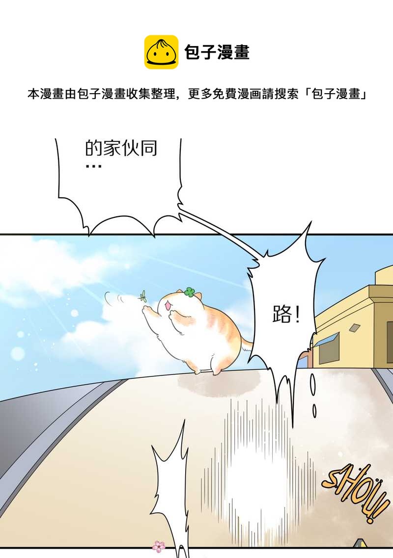 毛球星传说 第3集(1/2)-第3话