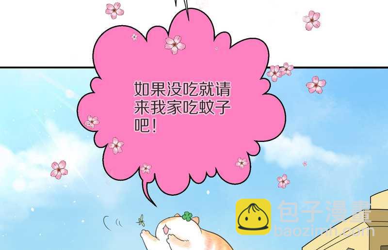 毛球星传说 第3集(1/2)-第3话