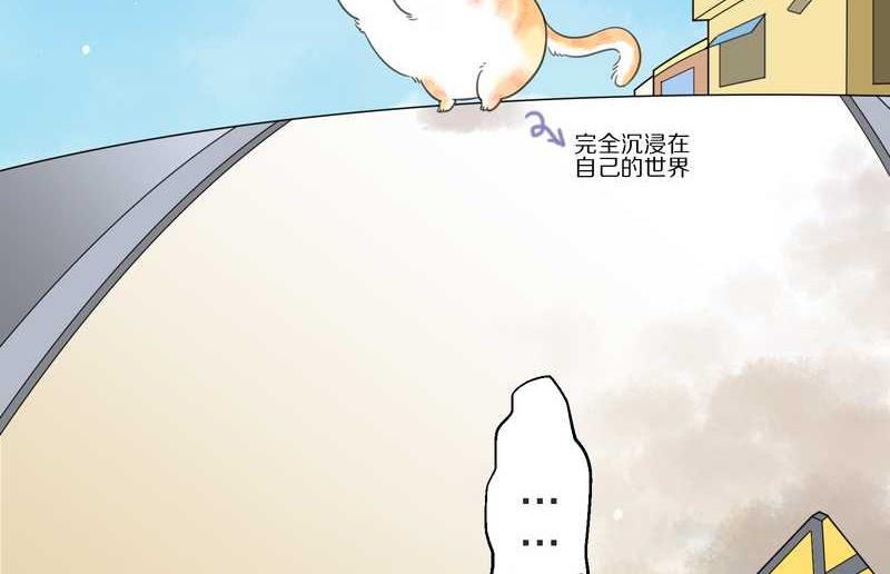 毛球星传说 第3集(1/2)-第3话