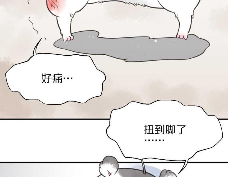 毛球星传说 第3集(1/2)-第3话