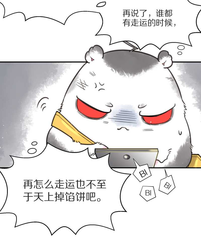毛球星传说 第3集(1/2)-第3话