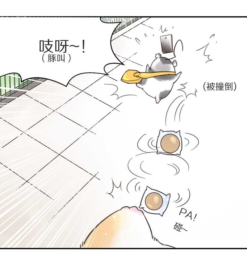 毛球星传说 第3集(1/2)-第3话