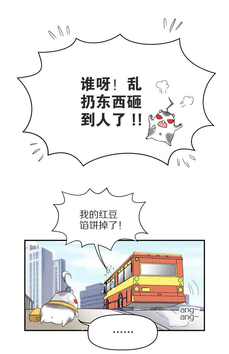毛球星传说 第3集(1/2)-第3话