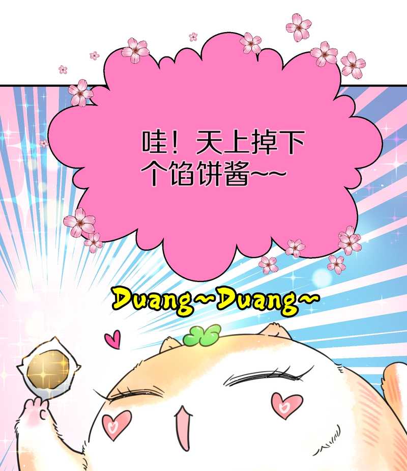 毛球星传说 第3集(1/2)-第3话
