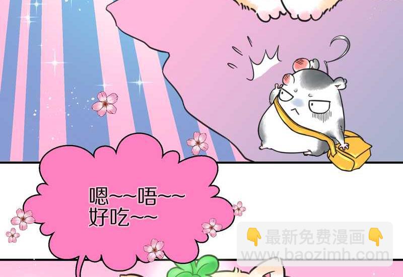 毛球星传说 第3集(1/2)-第3话