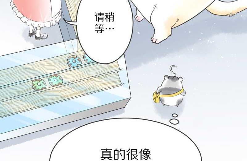 毛球星传说 第3集(1/2)-第3话
