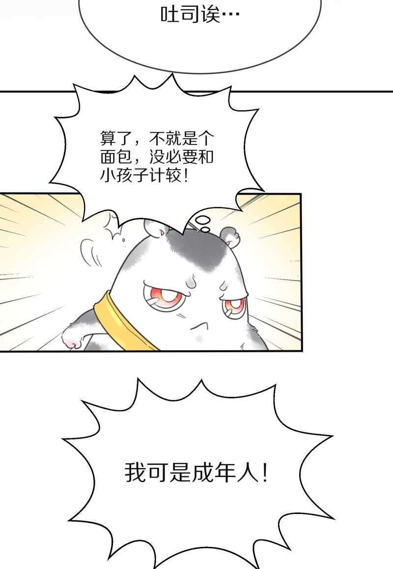 毛球星传说 第3集(1/2)-第3话