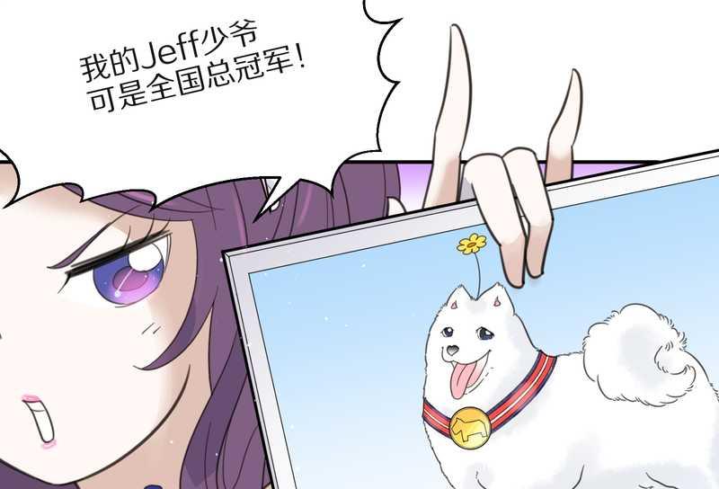 毛球星传说 第21集(1/3)-第21话