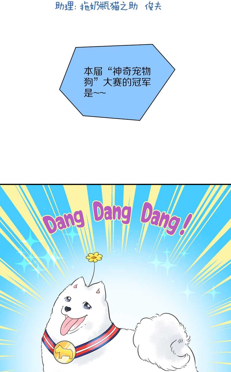 毛球星传说 第21集(1/3)-第21话