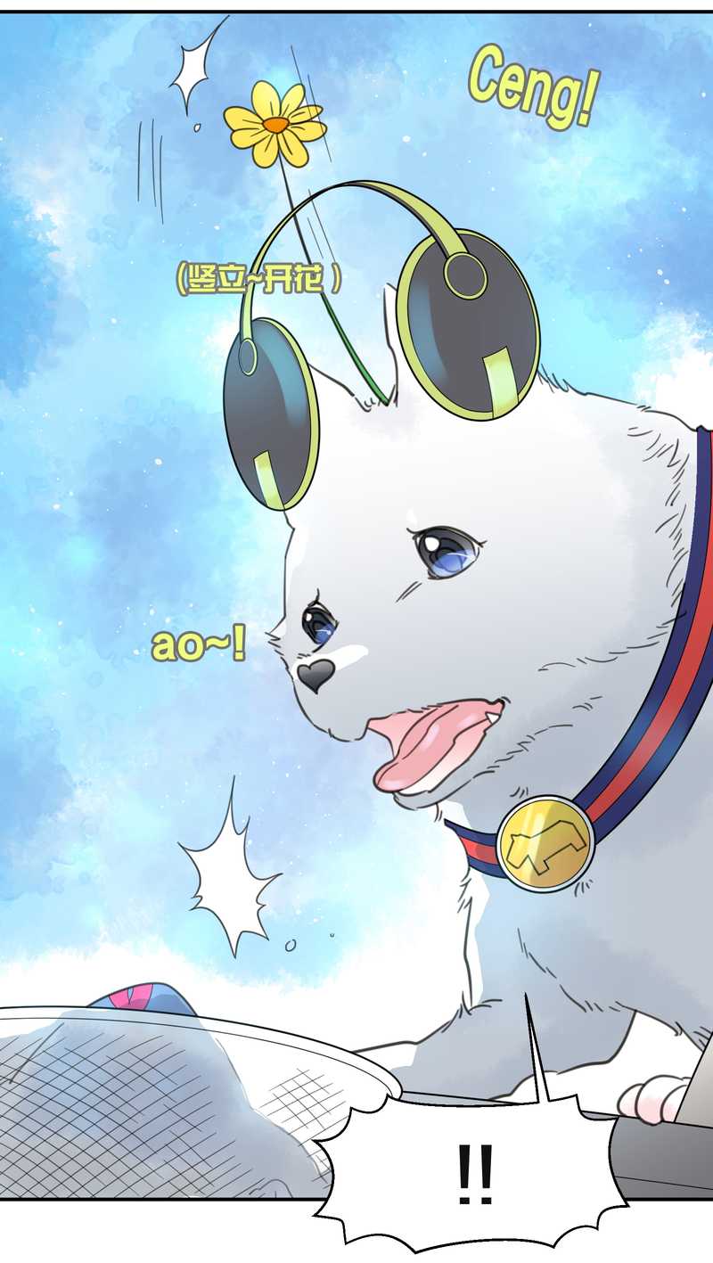 毛球星传说 第21集(1/3)-第21话