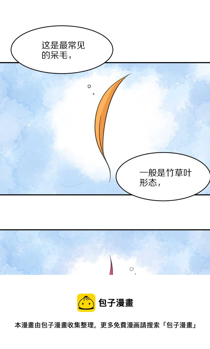 毛球星传说 第23集(1/2)-第23话