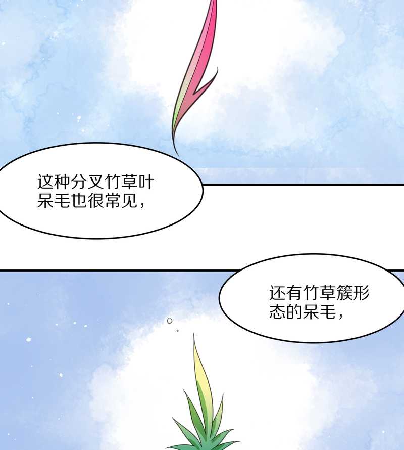 毛球星传说 第23集(1/2)-第23话