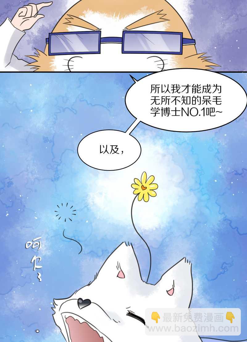 毛球星传说 第23集(1/2)-第23话