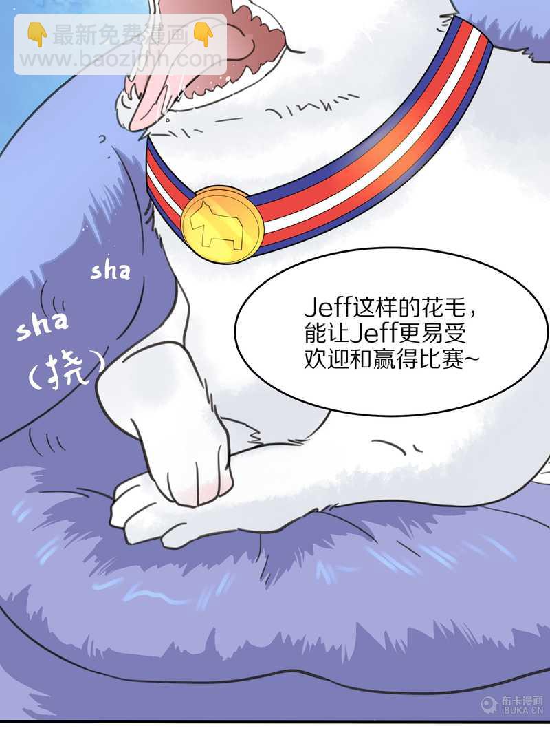 毛球星传说 第23集(1/2)-第23话