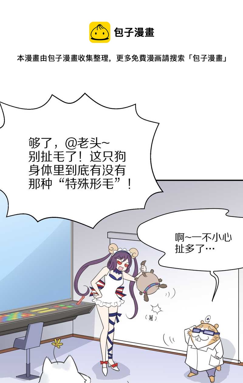 毛球星传说 第23集(1/2)-第23话