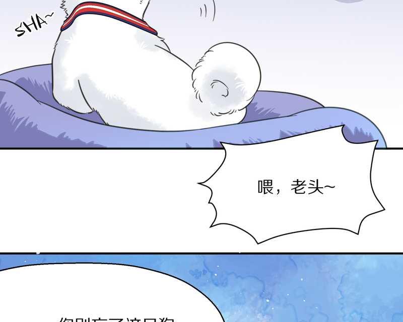 毛球星传说 第23集(1/2)-第23话