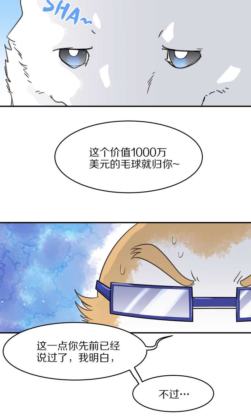 毛球星传说 第23集(1/2)-第23话