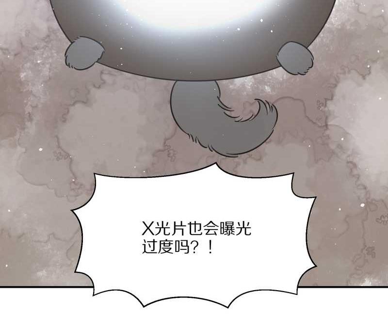 毛球星传说 第23集(1/2)-第23话