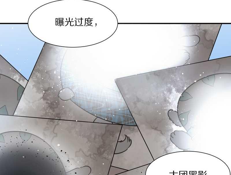 毛球星传说 第23集(1/2)-第23话