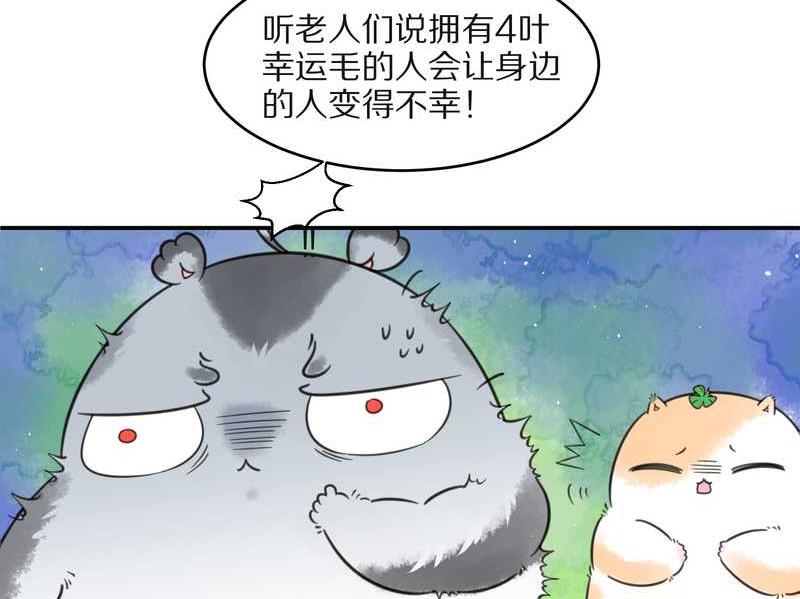 毛球星传说 第25集(1/2)-第25话