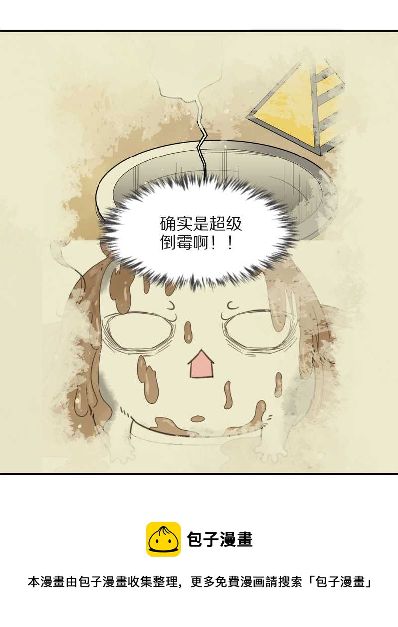毛球星传说 第25集(1/2)-第25话