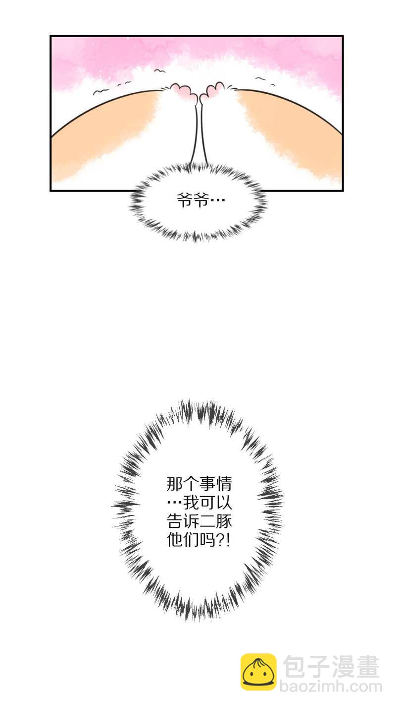毛球星传说 第25集(1/2)-第25话