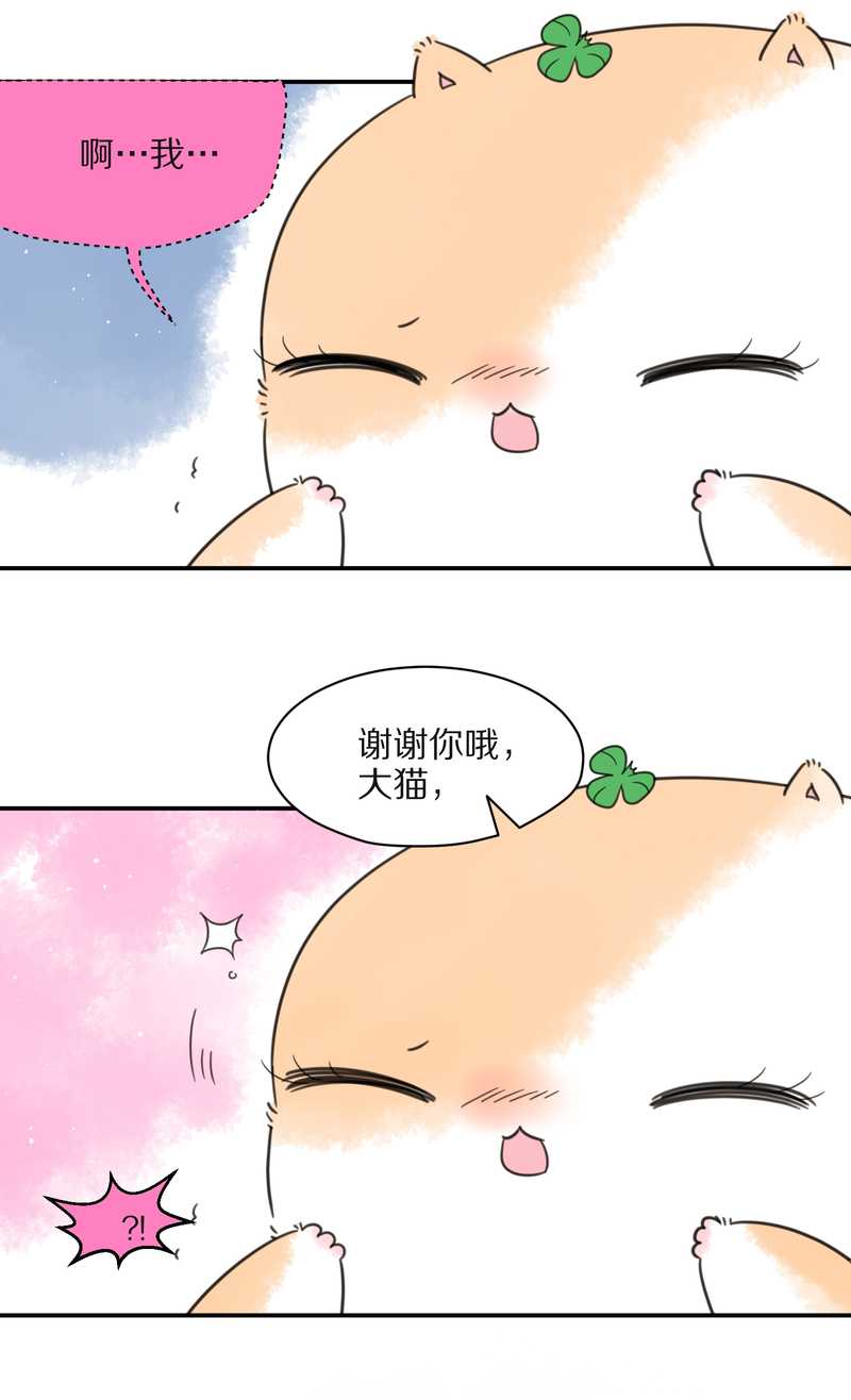 毛球星传说 第25集(1/2)-第25话