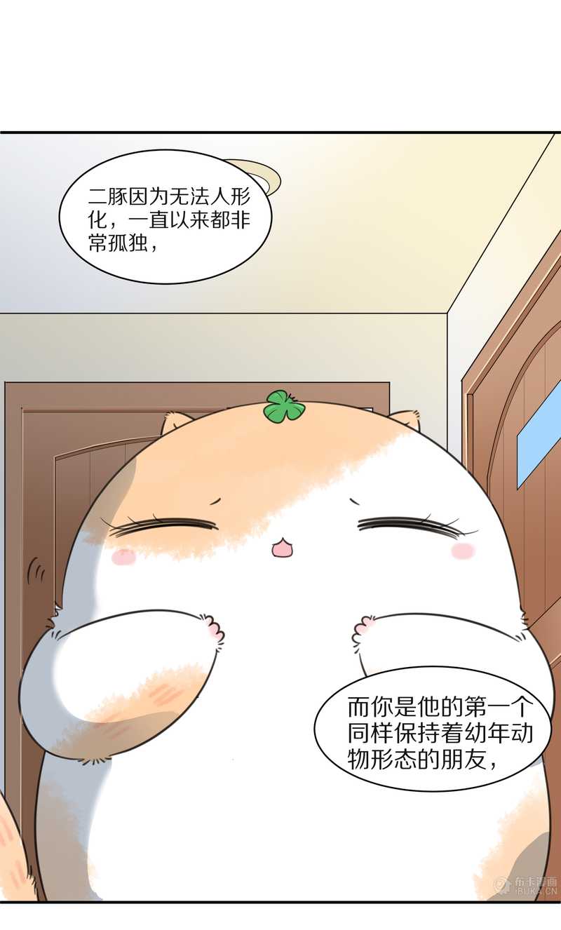 毛球星传说 第25集(1/2)-第25话