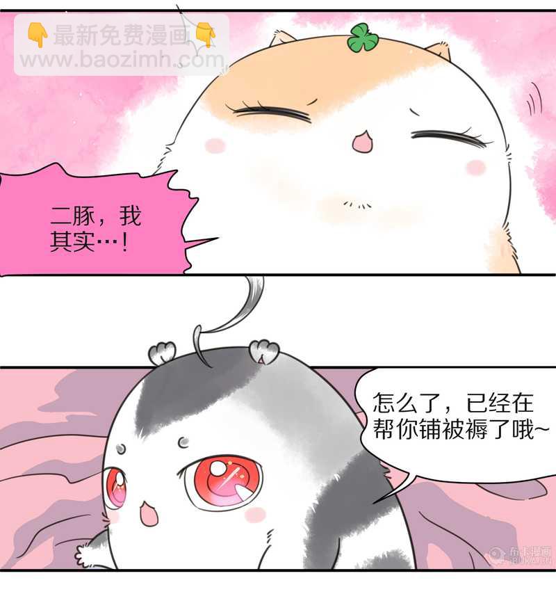 毛球星传说 第25集(1/2)-第25话