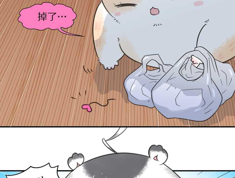 毛球星传说 第25集(1/2)-第25话