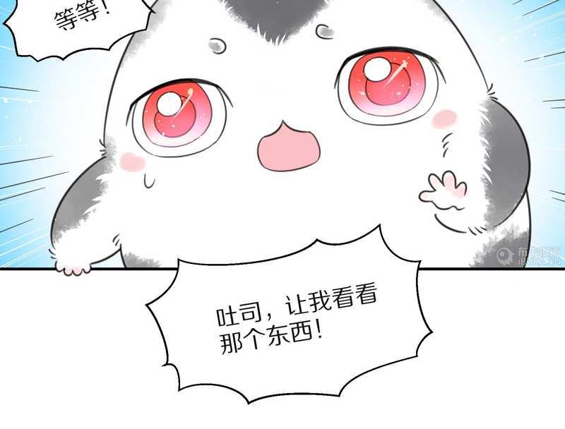 毛球星传说 第25集(1/2)-第25话