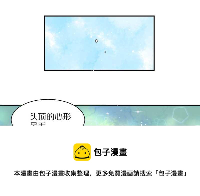 毛球星传说 第25集(1/2)-第25话