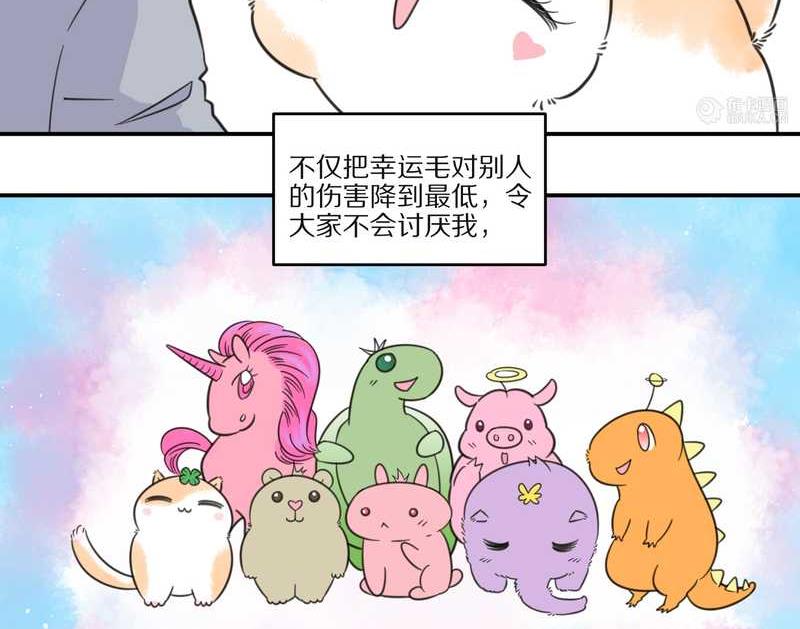 毛球星传说 第27集(1/3)-第27话