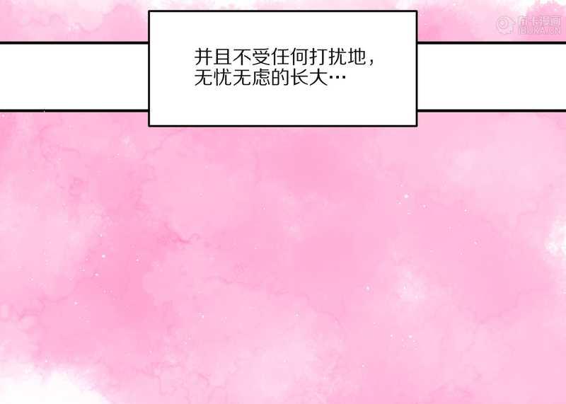 毛球星传说 第27集(1/3)-第27话